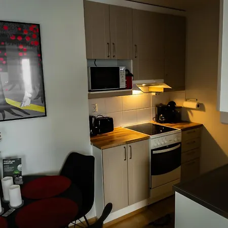 Center Sauna 罗瓦涅米