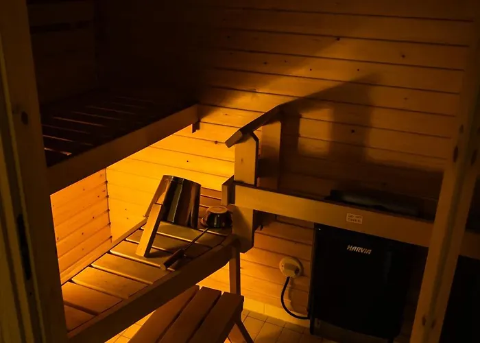 Center Sauna 公寓 罗瓦涅米