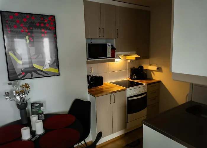 Center Sauna Rovaniemi